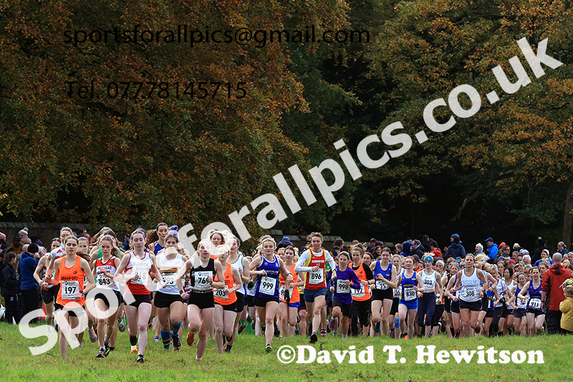 Senior women 2024 Start Fitness NEHL, Lambton Park, near Chester le Street, County Durham.   Photo: David T. Hewitson/Sports for All Pics